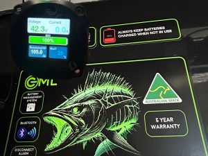 GML 12V 200 AH Lithium Deep Cycle Storage Battery